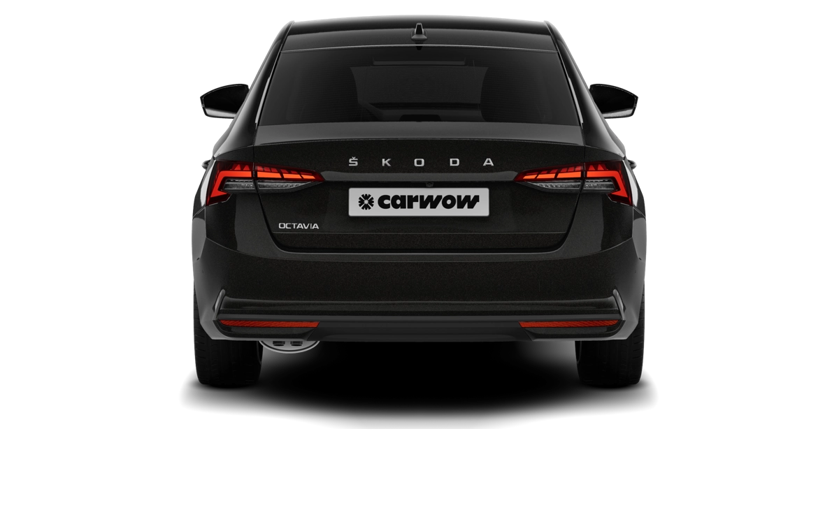 Vista trasera del Skoda Octavia de alquiler en Guardamar del Segura